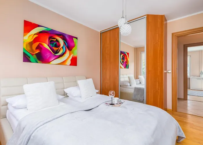 Rose In By Renters Kołobrzeg