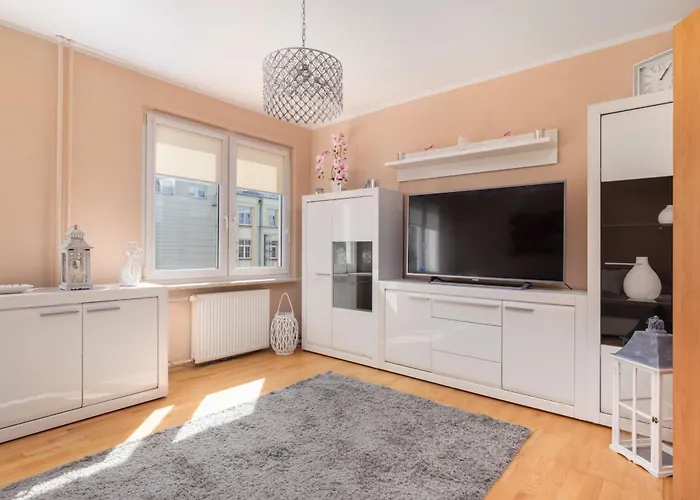 Rose In By Renters *