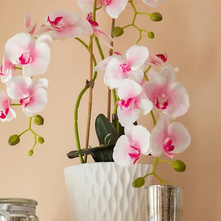 Lejlighed Rose In By Renters Kołobrzeg