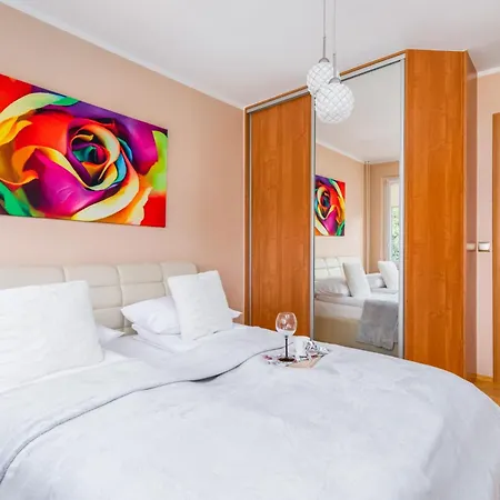 Rose In By Renters Kołobrzeg