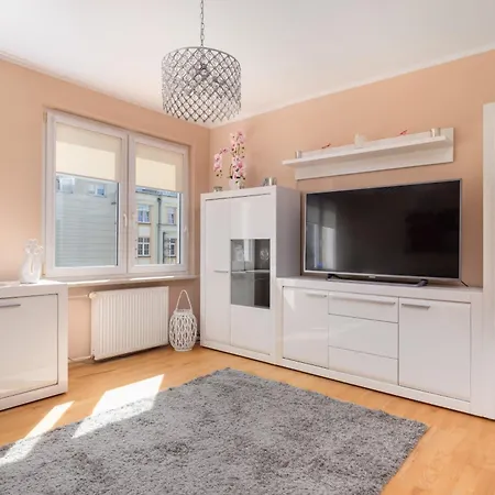 Rose In By Renters *