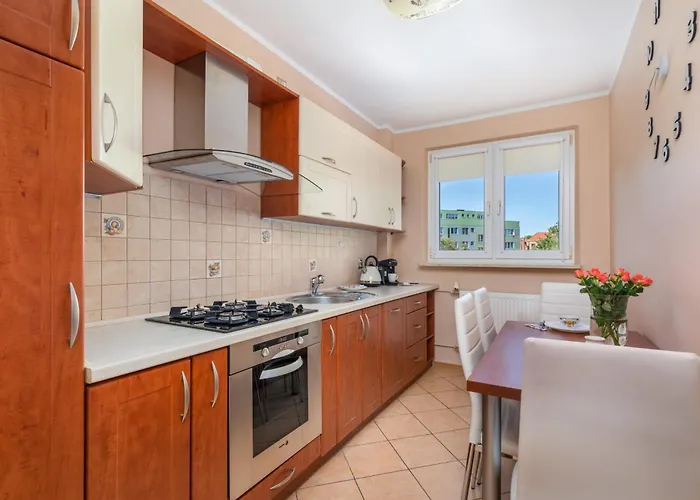 Rose In By Renters 코워브제크